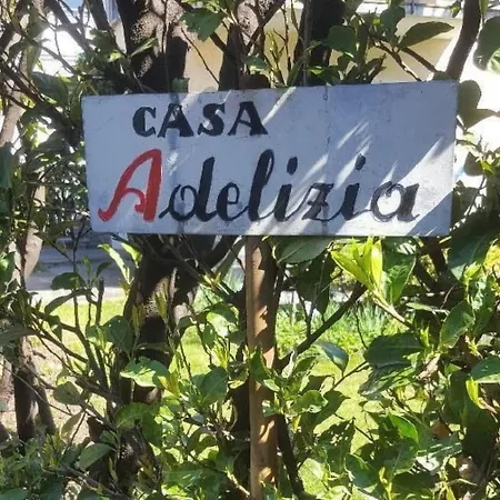Casa Adelizia By Interhome Apartment Ascona