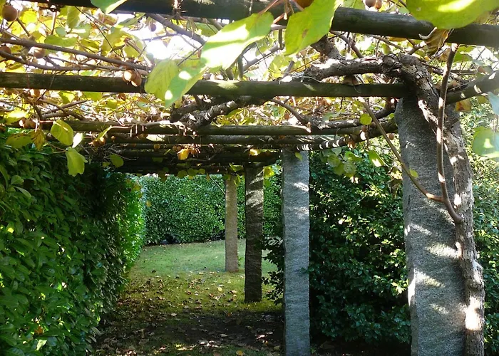 Casa Adelizia By Interhome Apartman Ascona